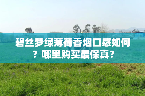 碧丝梦绿薄荷香烟口感如何？哪里购买最保真？
