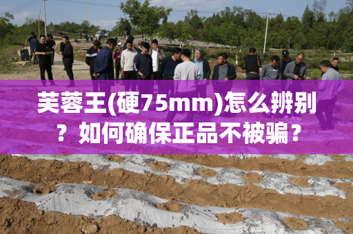 芙蓉王(硬75mm)怎么辨别？如何确保正品不被骗？